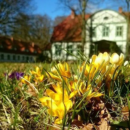 بيت للعطل Jagdschloss Friedrichsmoor