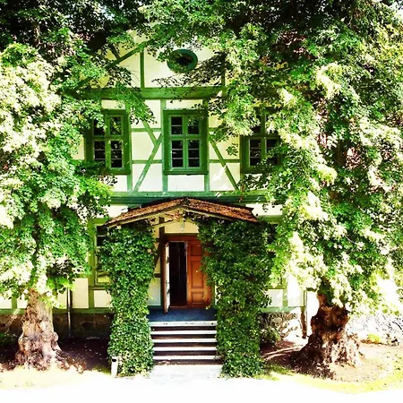 Jagdschloss Friedrichsmoor 纽斯塔德勒维